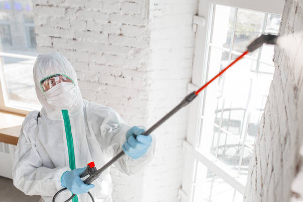 Asbestos and Lead Testing During Mold Inspection in Huntingdon, PA